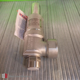 Leser 4594.2142 Safety Valve
