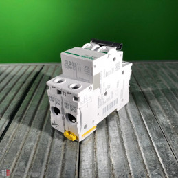 Circuit breaker Schneider Electric IC60N C 32A 2P