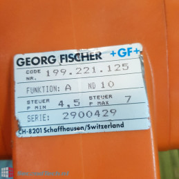 Georg Fischer 199.221.125