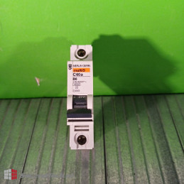 Merlin Gerin Multi9 C60a B6