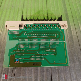 Hitachi PIM-DPH Input Module